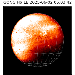 gong - 2025-06-02T05:03:42