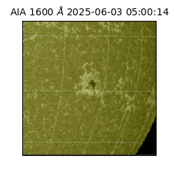 saia - 2025-06-03T05:00:14.126000