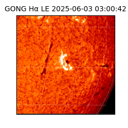 gong - 2025-06-03T03:00:42