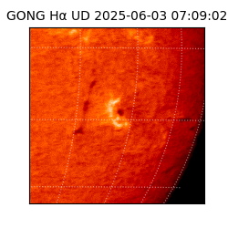 gong - 2025-06-03T07:09:02