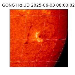 gong - 2025-06-03T08:00:02