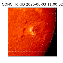 gong - 2025-06-03T11:00:02