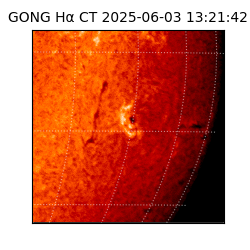 gong - 2025-06-03T13:21:42
