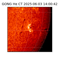 gong - 2025-06-03T14:00:42