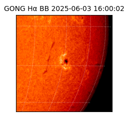 gong - 2025-06-03T16:00:02