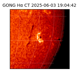 gong - 2025-06-03T19:04:42