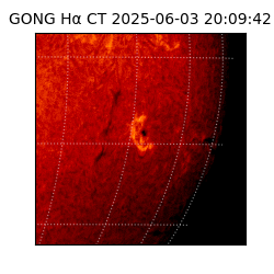 gong - 2025-06-03T20:09:42