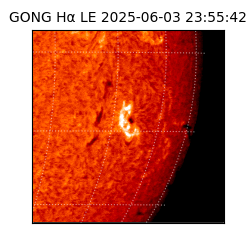 gong - 2025-06-03T23:55:42