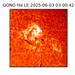 gong - 2025-06-03T03:00:42