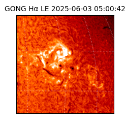 gong - 2025-06-03T05:00:42
