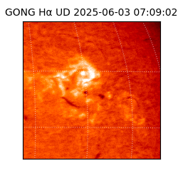 gong - 2025-06-03T07:09:02