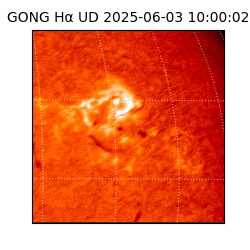 gong - 2025-06-03T10:00:02