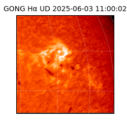 gong - 2025-06-03T11:00:02