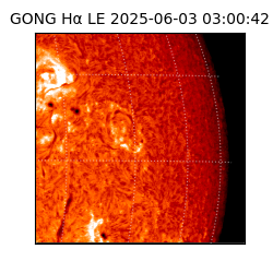 gong - 2025-06-03T03:00:42