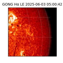 gong - 2025-06-03T05:00:42