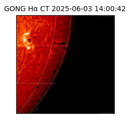 gong - 2025-06-03T14:00:42