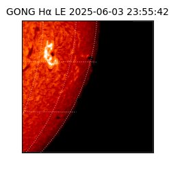 gong - 2025-06-03T23:55:42