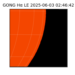 gong - 2025-06-03T02:46:42
