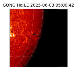 gong - 2025-06-03T05:00:42