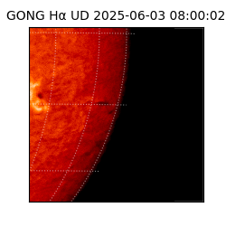 gong - 2025-06-03T08:00:02