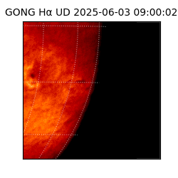 gong - 2025-06-03T09:00:02