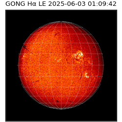 gong - 2025-06-03T01:09:42