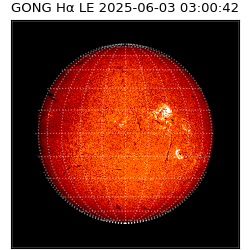 gong - 2025-06-03T03:00:42
