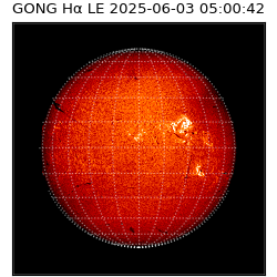 gong - 2025-06-03T05:00:42