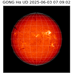 gong - 2025-06-03T07:09:02