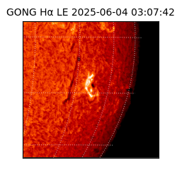 gong - 2025-06-04T03:07:42