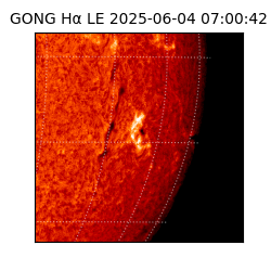 gong - 2025-06-04T07:00:42