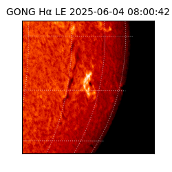 gong - 2025-06-04T08:00:42
