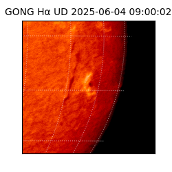 gong - 2025-06-04T09:00:02