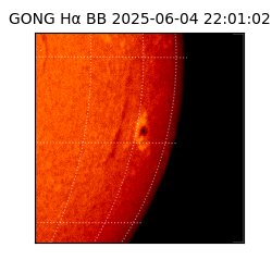 gong - 2025-06-04T22:01:02