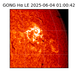 gong - 2025-06-04T01:00:42