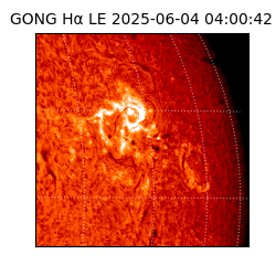 gong - 2025-06-04T04:00:42