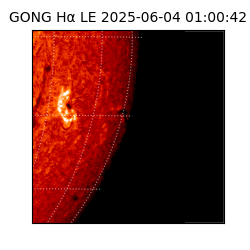 gong - 2025-06-04T01:00:42