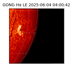 gong - 2025-06-04T04:00:42