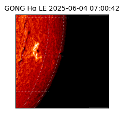 gong - 2025-06-04T07:00:42
