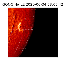 gong - 2025-06-04T08:00:42
