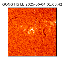 gong - 2025-06-04T01:00:42