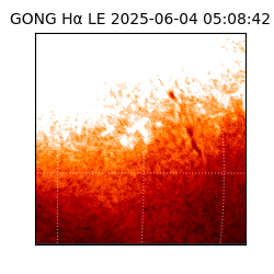 gong - 2025-06-04T05:08:42