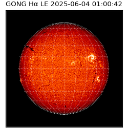 gong - 2025-06-04T01:00:42