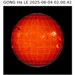 gong - 2025-06-04T02:00:42