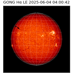 gong - 2025-06-04T04:00:42