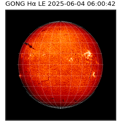 gong - 2025-06-04T06:00:42