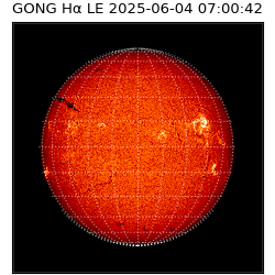 gong - 2025-06-04T07:00:42