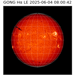 gong - 2025-06-04T08:00:42