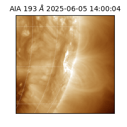 saia - 2025-06-05T14:00:04.843000