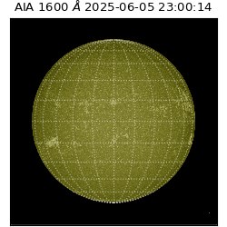 saia - 2025-06-05T23:00:14.126000
